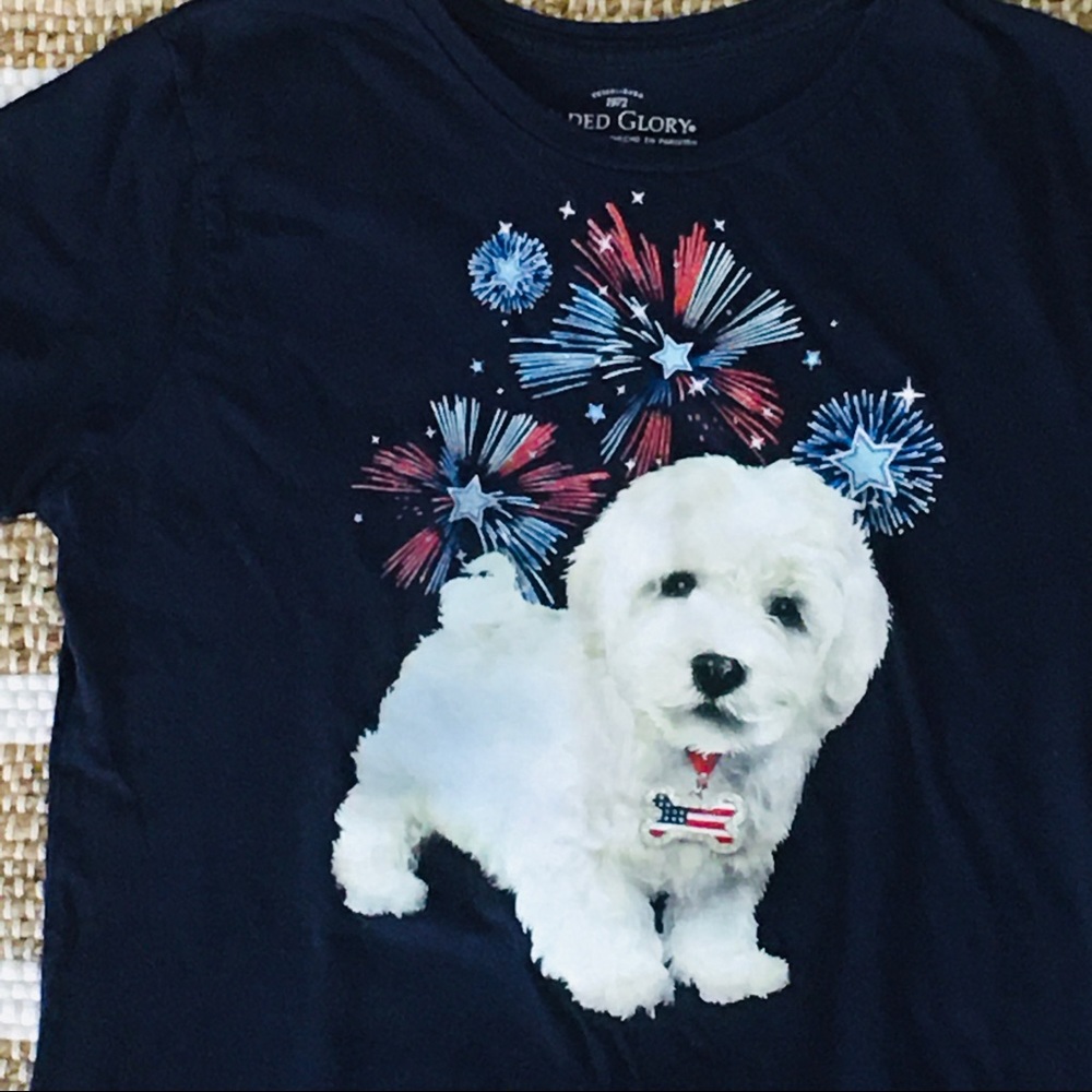 Navy blue patriotic poodle dog July shirt tee top summer Maltipoo firewo…